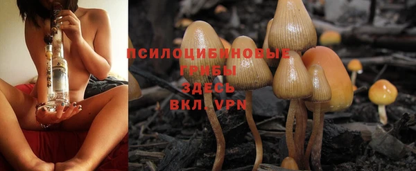 твердый Армянск