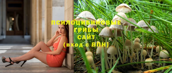 твердый Армянск