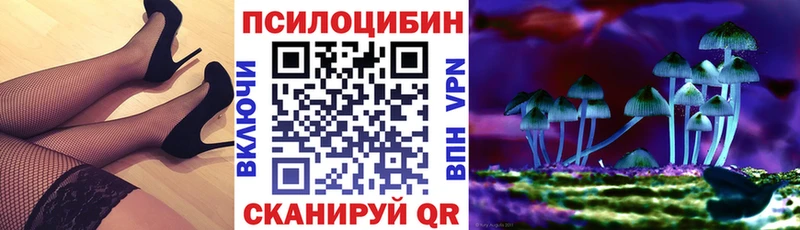 Псилоцибиновые грибы Magic Shrooms  Пудож 